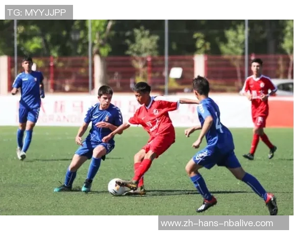 北京足球协会推动青少年足球发展助力国家队崛起的全新战略与实践探索